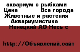 аквариум с рыбками › Цена ­ 1 000 - Все города Животные и растения » Аквариумистика   . Ненецкий АО,Несь с.